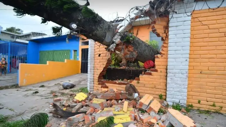 Árbol en la Escalón