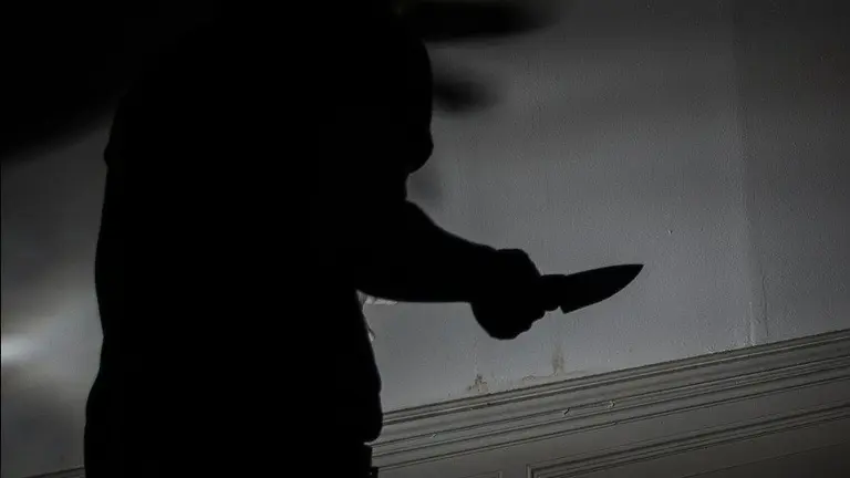 Cuchillo pixabay