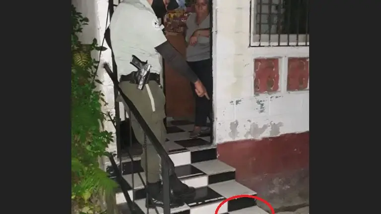 Para envenenar a perros y gatos