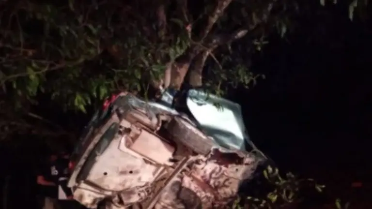 Chocaron contra árbol