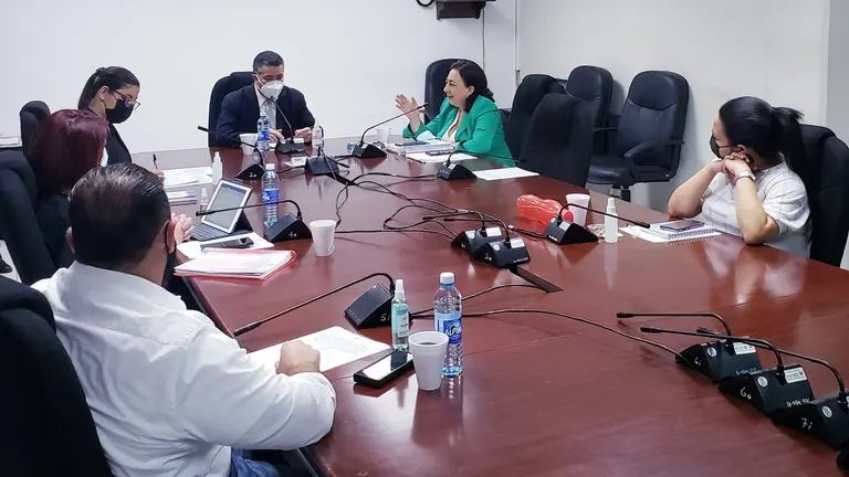 Diputados de comisión especial