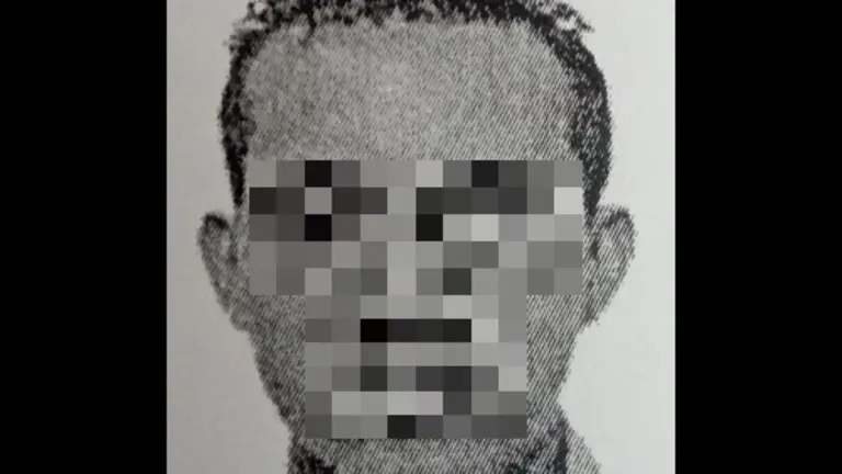 Violador de niñas en redes