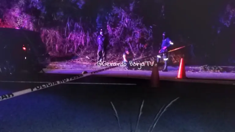 Bulevar Rodríguez Porth