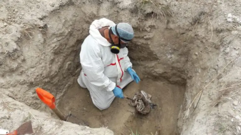 Condominios Prados de Venecia