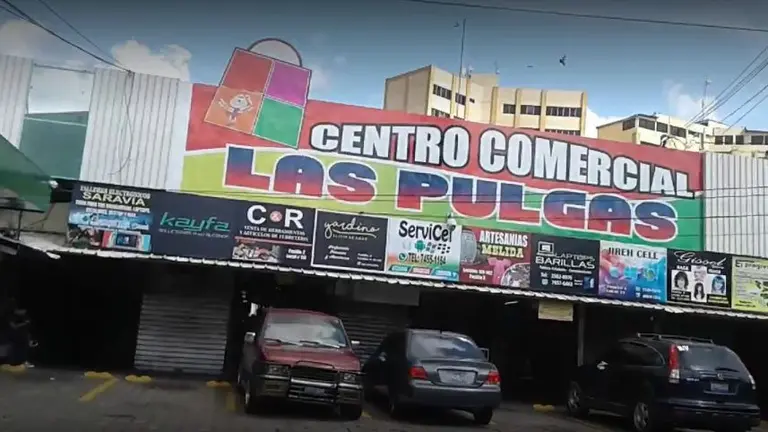 Las Pulgas de Los Héroes