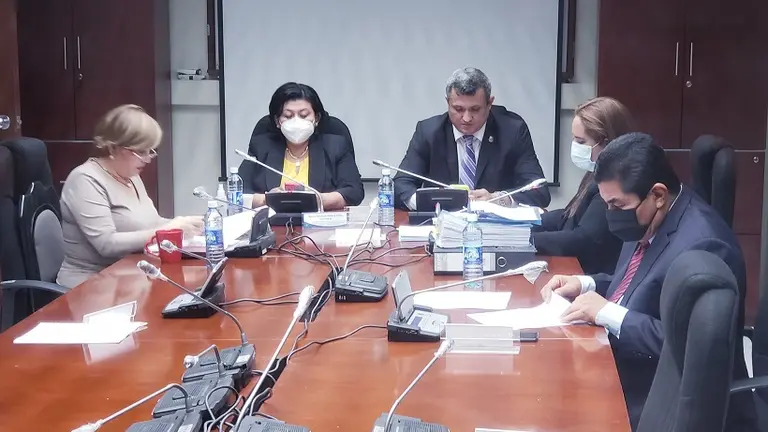 Comisión Especial diputados