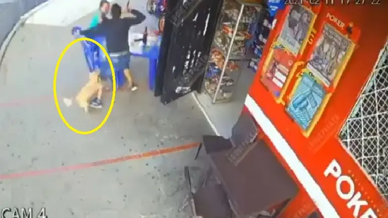 Perro evitó asalto