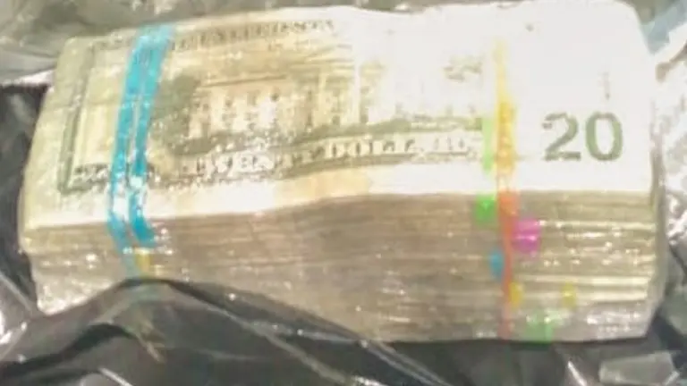 Dinero en paquetes de leche 2