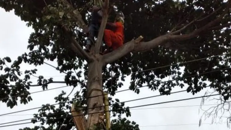 Sobrevive a descarga eléctrica