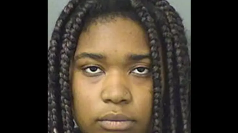 A woman has been arrested on multiple charges in connection with a hit-and-run accident that killed federal Judge Sandra J. Feuerstein and injured a six-year-old boy in Florida, according to Palm Beach County Sheriff's Office jail records.
A Delray police officer said the driver, later identified as Nastasia Andranie Snape, was behind the wheel of the car and appeared to be unconscious.