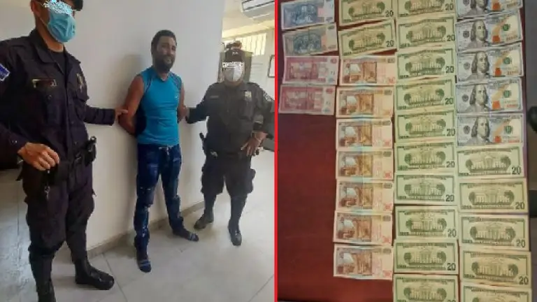 Coyote con dinero