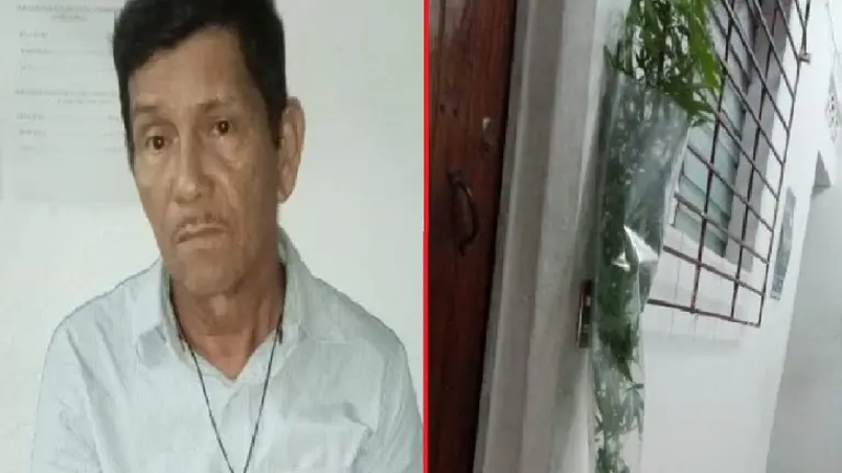 Capturado con una planta de marihuana