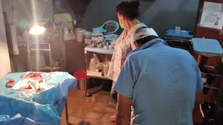 Golpeado con un bate de beisbol