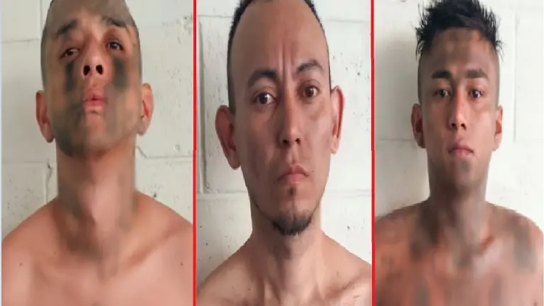 Pandilleros de Lourdes