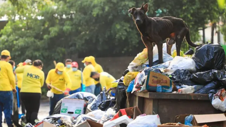 Chucho en la basura