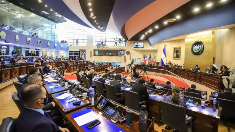 Diputados en la Asamblea22