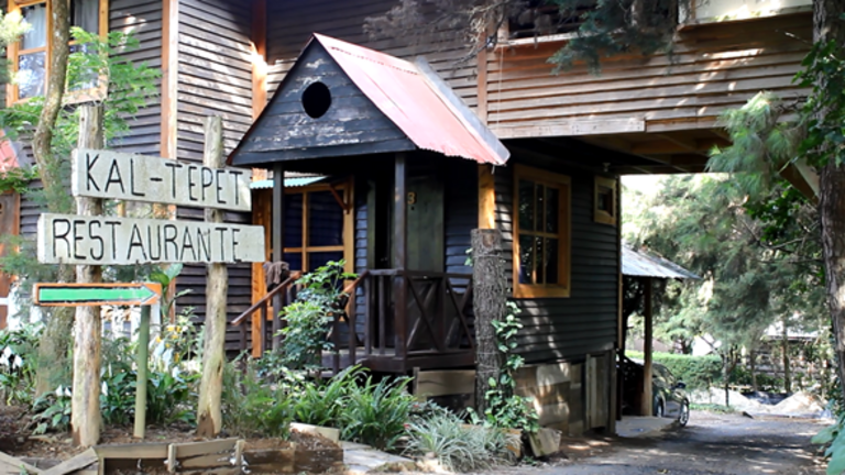 restaurante los naranjos