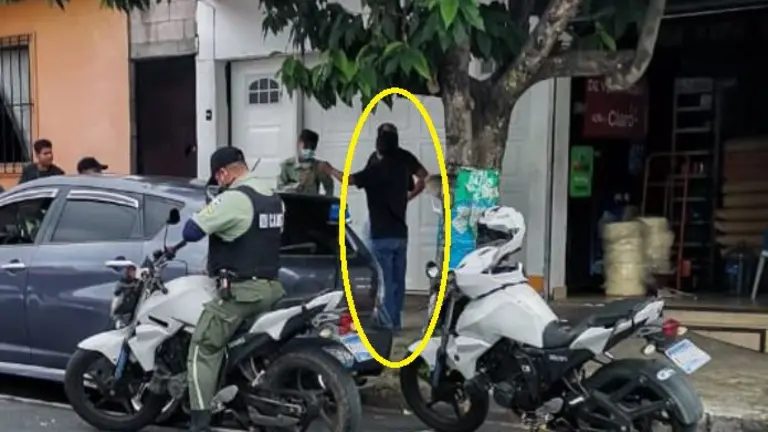 Avenida Manuel Gallardo