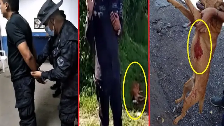 Arrestan a policía por matar a perro