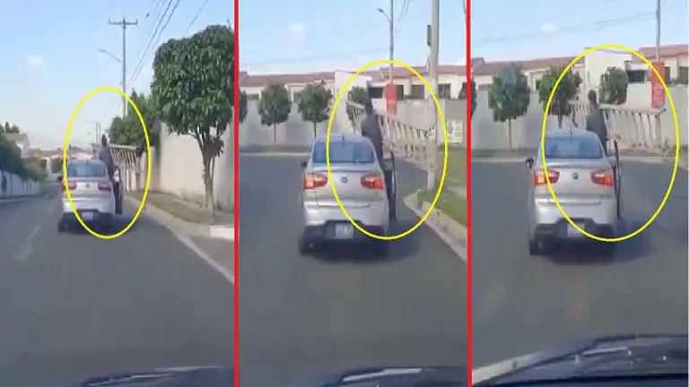 Hombre con escalera