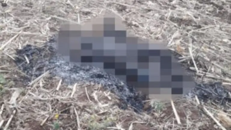 Calcinado en El Refugio