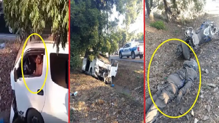 Conductor de microbús particular