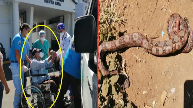 Hombre de 80 años mordido por una culebra
