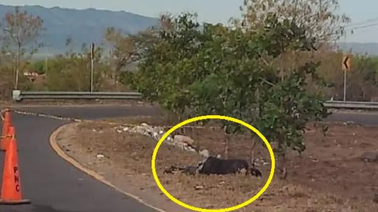 De un balazo en la cabeza