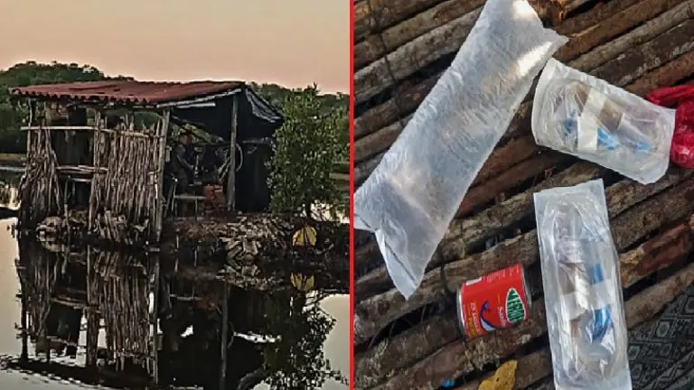 Campamento en manglar