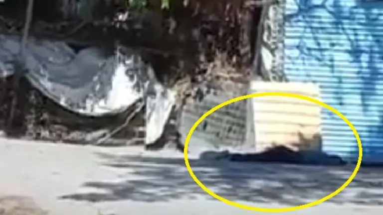 Acribillado en la 75