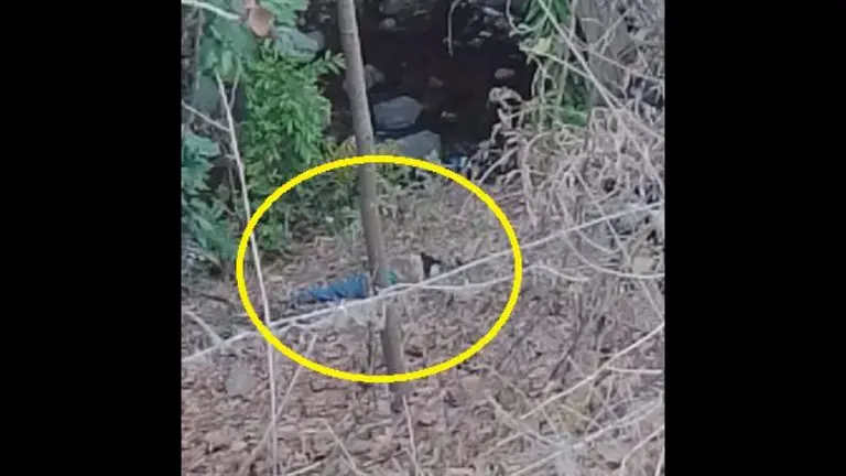 Mujer asesinada en Tacachico