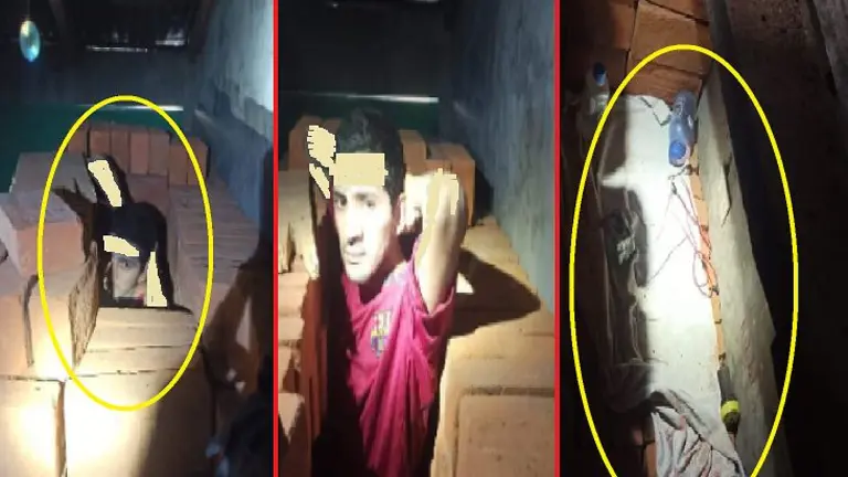 Escondido en ladrillos