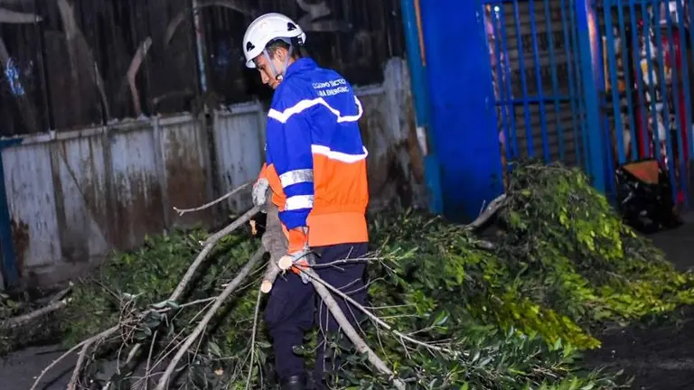 Dos lesionados en San Salvador al caerlas ramas
