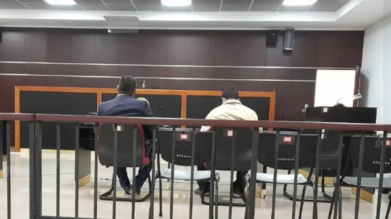 Lo condenan por talar árboles