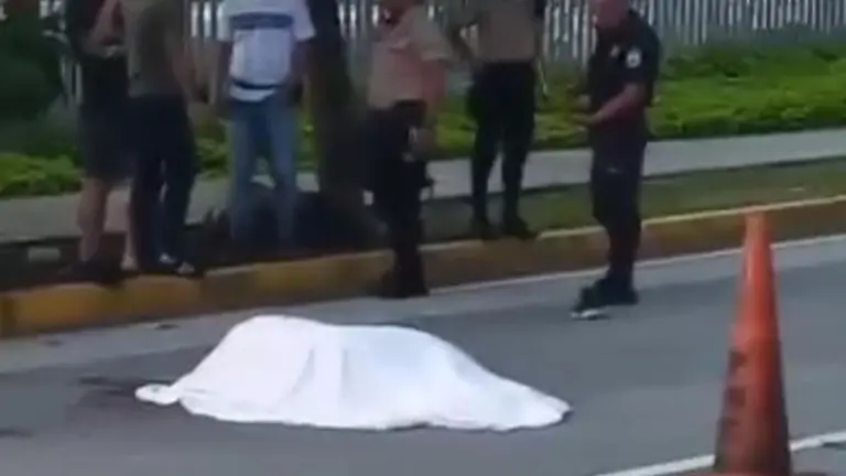 Atropellado en Santa Elena