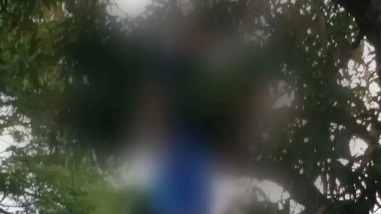 Se ahorca en una rama de árbol