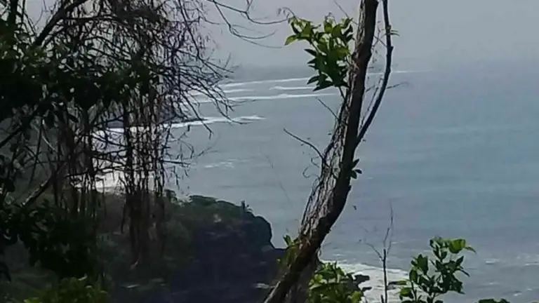 Manglares cerca del El Palmarcito