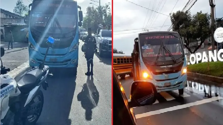 Microbusero de la 29