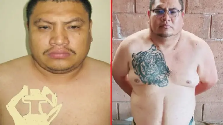 Por la de un tigre