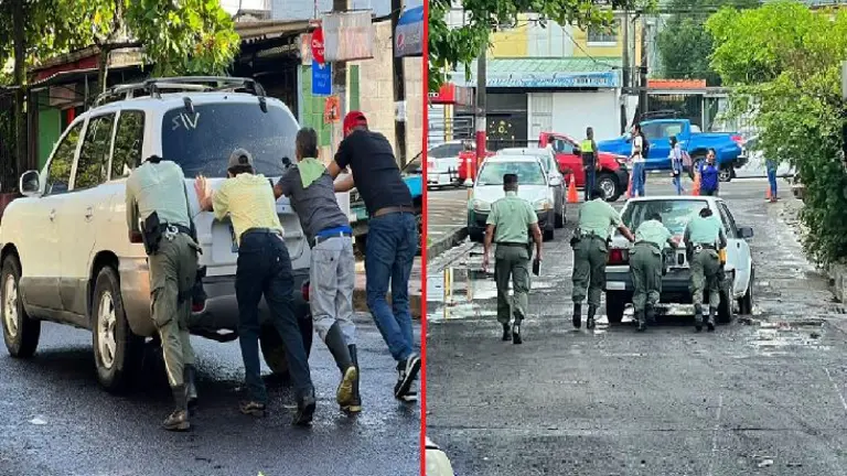 Jardines del Volcán