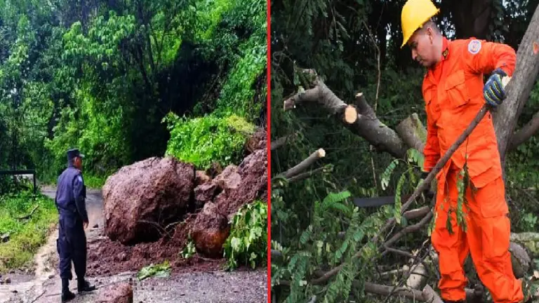Derrumbe y árbol