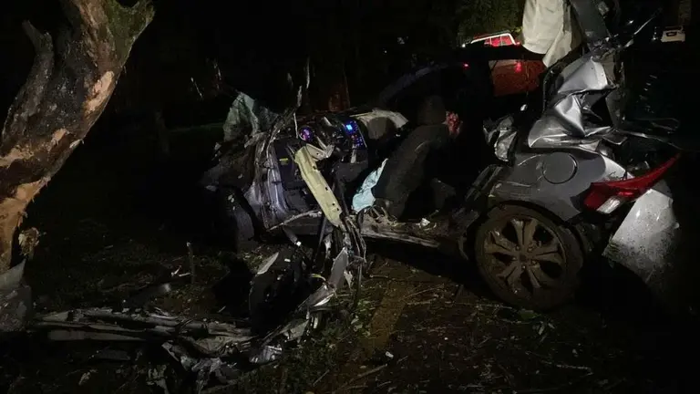 Automovilista muere al chocar contra árbol