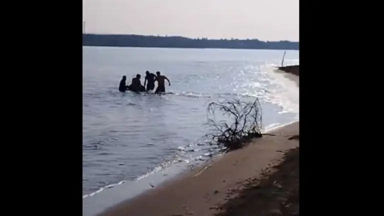 Hermanos agricultores