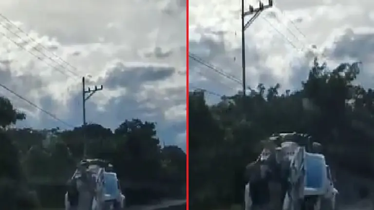 Recolector de basura