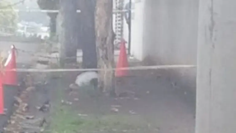 Muerto en la San Benito