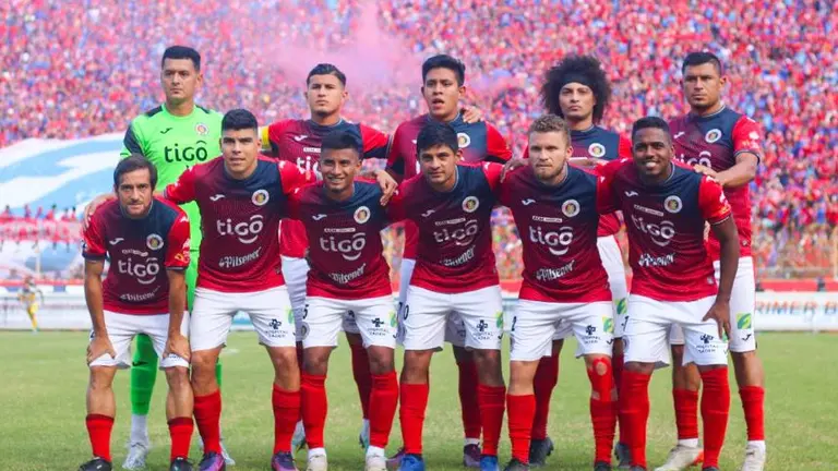 Gatos campeones