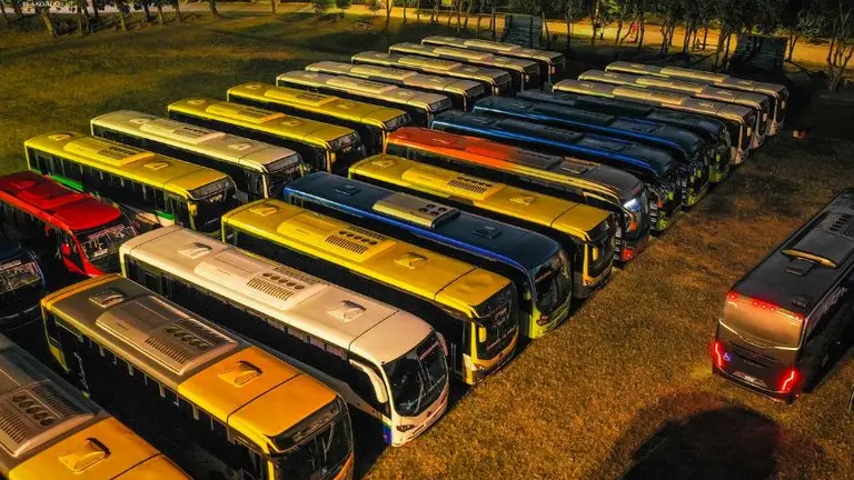 Nueva flota de buses