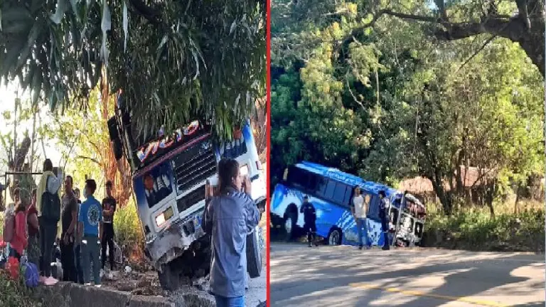 Seis turistas nacionales