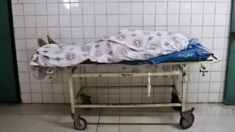 Estudiante de 14 años