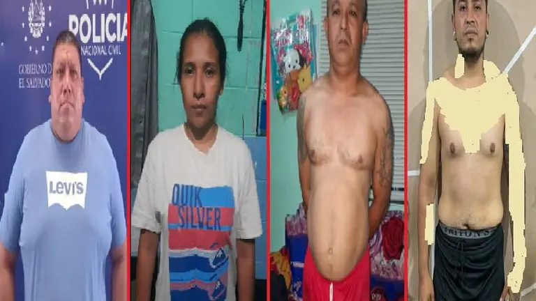 Banda que alquilaba vehículos y los vendía